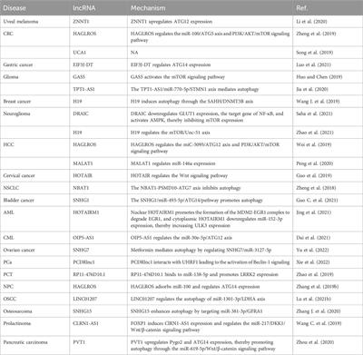 Non-coding RNAs are involved in tumor cell death and affect tumorigenesis, progression, and treatment: a systematic review